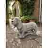 Basset hondenbeeld van beton H36 cm