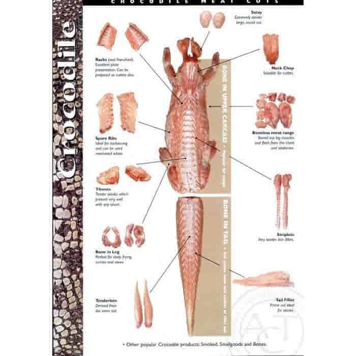 LeJean Krokodilfilet LeJean Krokodilfilet