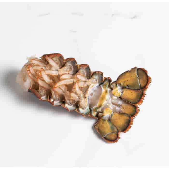 LeJean Wilde kreeftenstaart MSC