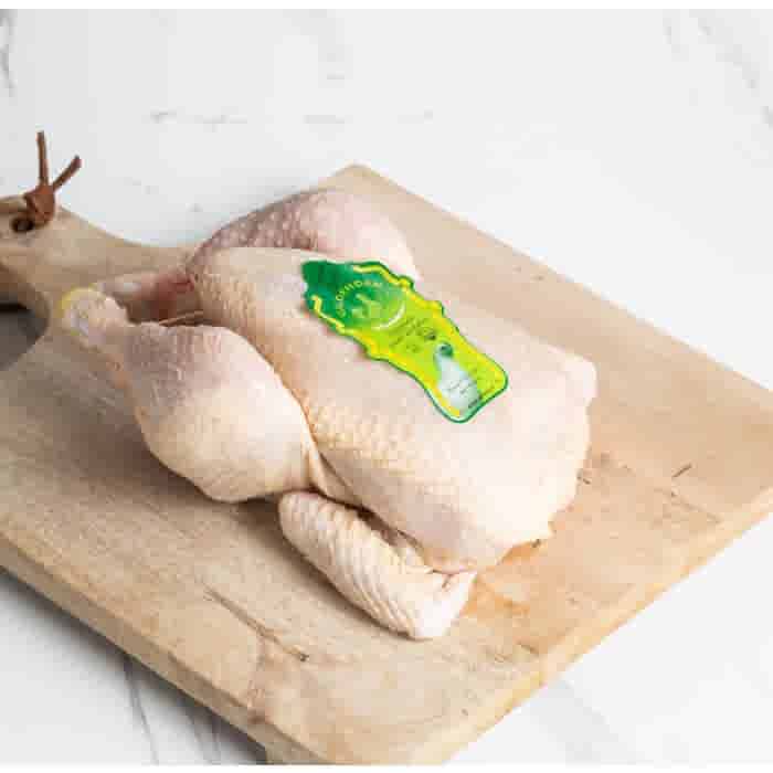 LeJean Gildehoen Hele Scharrelkip