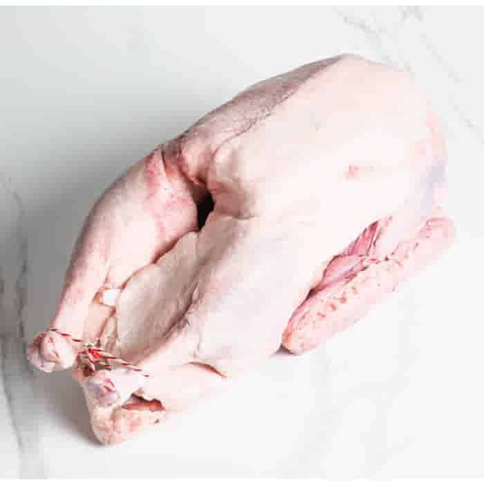 LeJean Hele tamme Gans