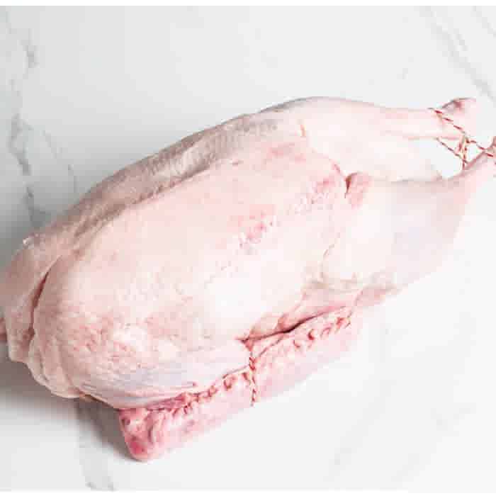 LeJean Hele tamme Gans