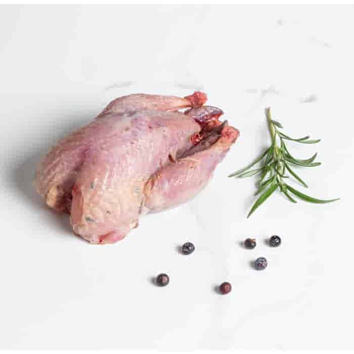 LeJean Roodpoot patrijs Panklaar