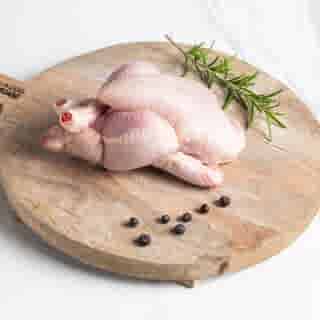 LeJean Poussin