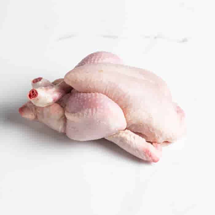 LeJean Poussin LeJean Poussin