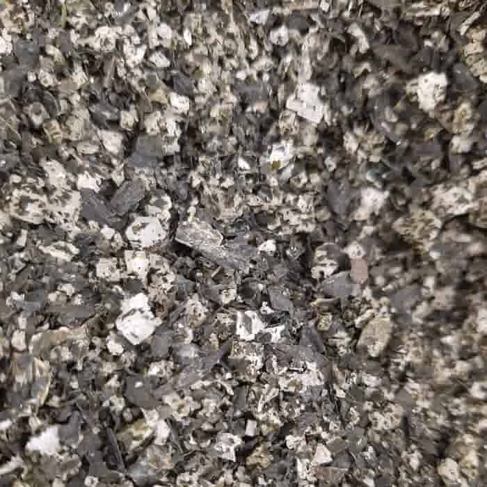 Zeeuwsche Zoute Zeeuwsche zoute Wakame