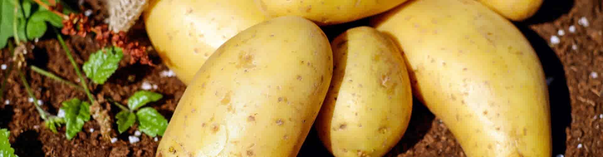 Online aardappelen bestellen: Hoe werkt het?