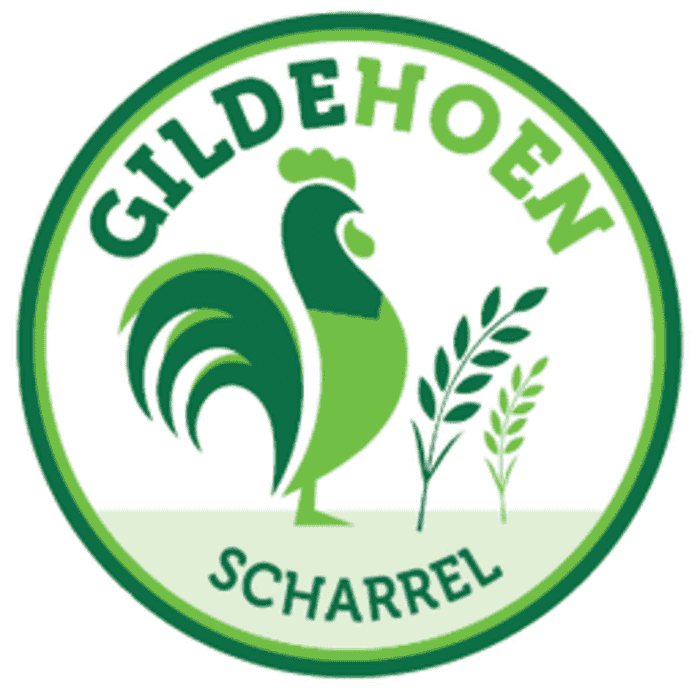 LeJean Gildehoen scharrel Kipdijfiletsaté |10 stokjes