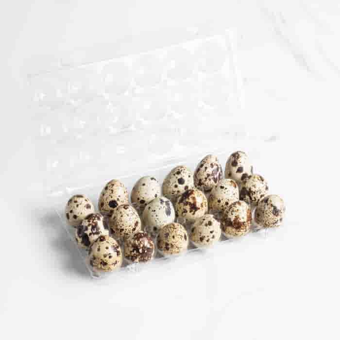 LeJean Verse Kwarteleieren