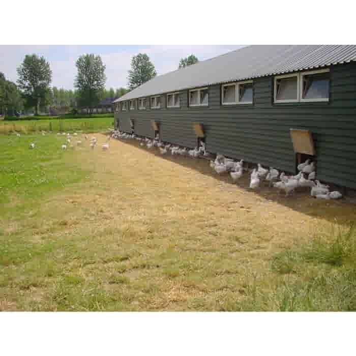 LeJean Biologische Kipdijburger Polderhoen