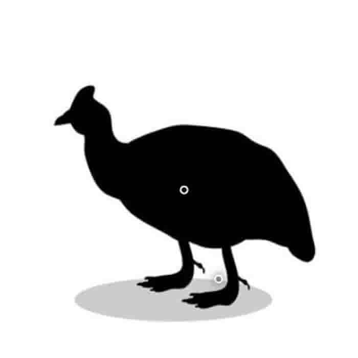 LeJean Parelhoenfilet Supreme