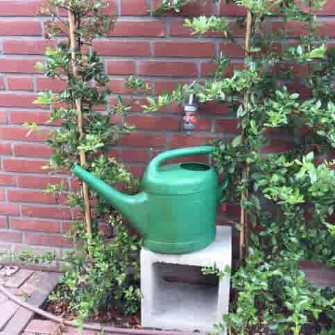 Inspiratie