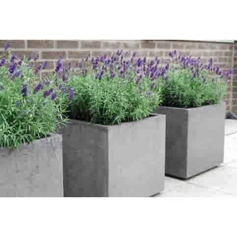 Betonnen bloembakken vierkant XL 120x120 en 80 cm hoog