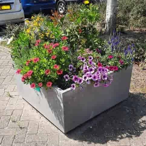 Betonnen bloembakken vierkant XL met voet 100x100 en 50 cm hoog