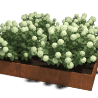 Cortenstaal plantenbak Miami XXL 240x240 cm