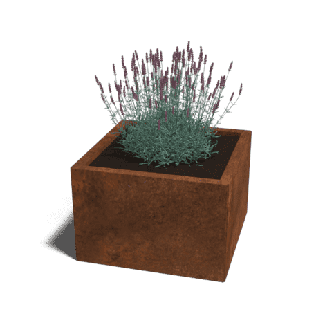 Cortenstaal plantenbak Miami 60x60 cm
