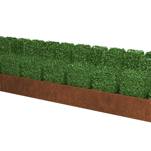 Cortenstaal plantenbak Texas XXL 480x100 cm