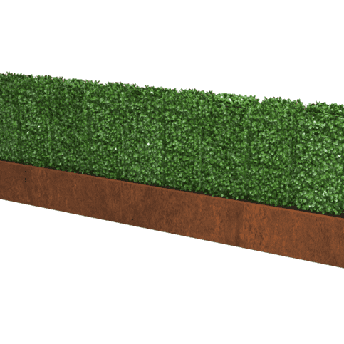 Cortenstaal plantenbak Texas XXL 400x30 cm