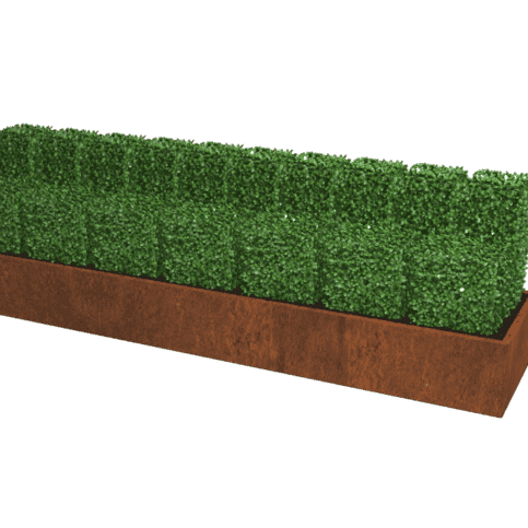 Cortenstaal plantenbak Texas XXL 360x120 cm