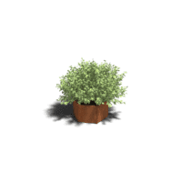 Cortenstaal plantenbak Denver 40 cm