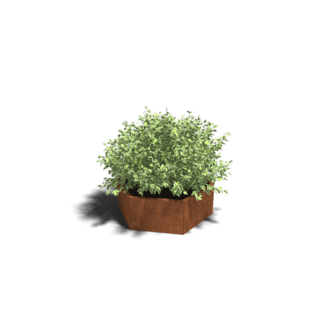 Cortenstaal plantenbak Denver 60 cm