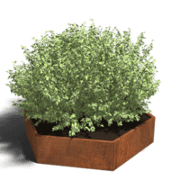 Cortenstaal plantenbak Denver 100 cm