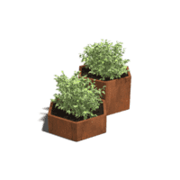 Cortenstaal plantenbak Denver special II 50 cm