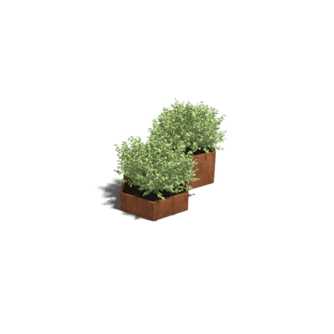 Cortenstaal plantenbak Denver special II 60 cm