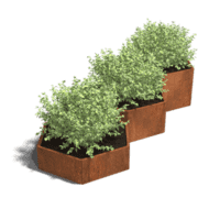 Cortenstaal plantenbak Denver special III 80 cm