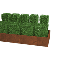 Cortenstaal plantenbak Texas XXL 240x100 cm