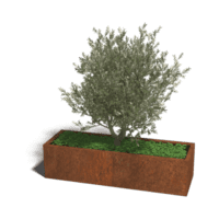 Cortenstaal plantenbak Texas XXL 160x60 cm