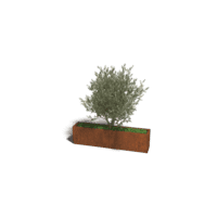Cortenstaal plantenbak Texas XXL 160x30 cm