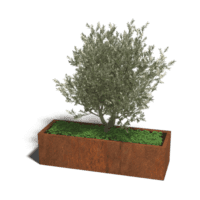 Cortenstaal plantenbak Texas XXL 150x50 cm