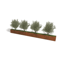 Cortenstaal plantenbak Texas XXL 500x30 cm