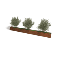 Cortenstaal plantenbak Texas XXL 480x30 cm