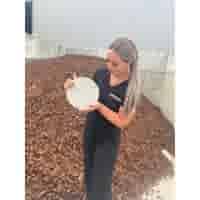 Ronde grijze staptegel 23 cm – Rustique Beton  met een natuurlijk geleefd karakter