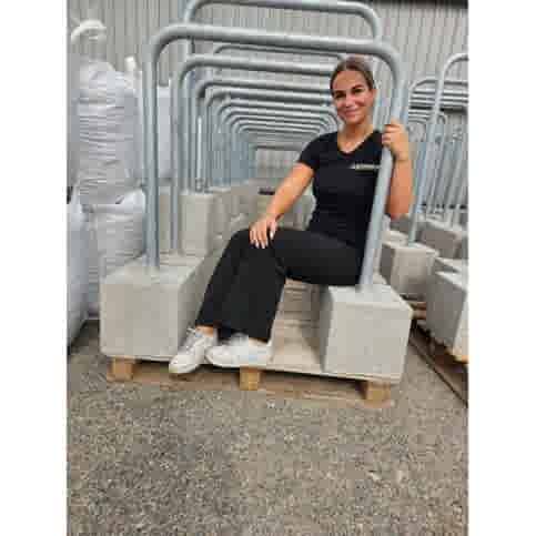 Fietsbeugel 150x60 cm