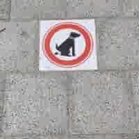 Stoeptegel verboden honden te laten poepen