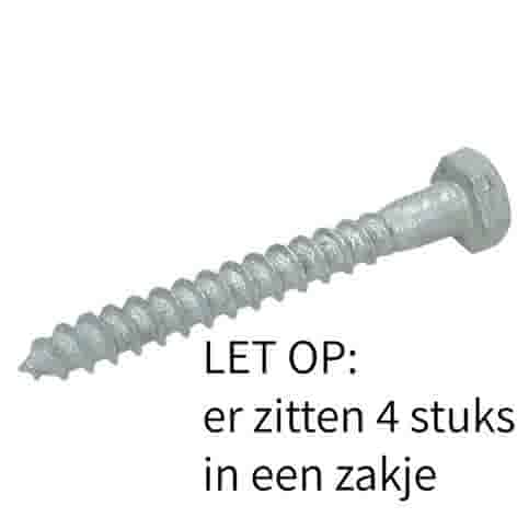 Houtdraadbout 10x110 mm - Thermisch verzinkt - Set van 4 stuks