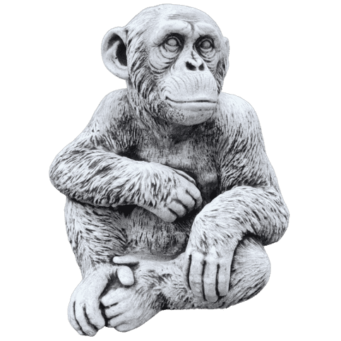 Groot betonnen tuinbeeld van een chimpansee 50 cm