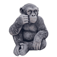 Betonnen tuinbeeld Chimpansee klein 36 cm