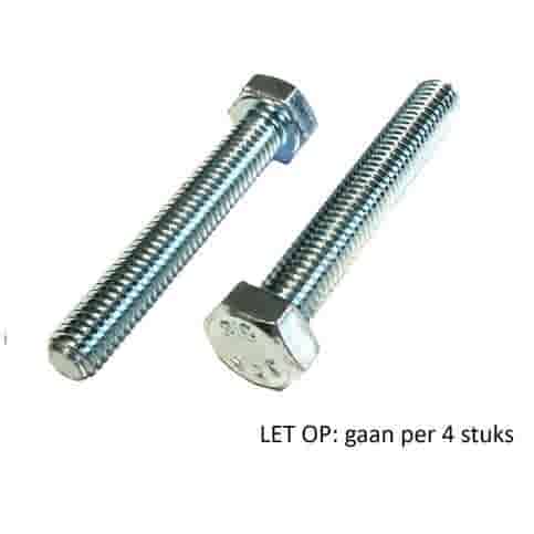 Zeskanttapbouten M10x30 mm (4 stuks)