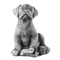 Boxer met kluif H24 cm
