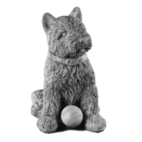 Bouvier pup