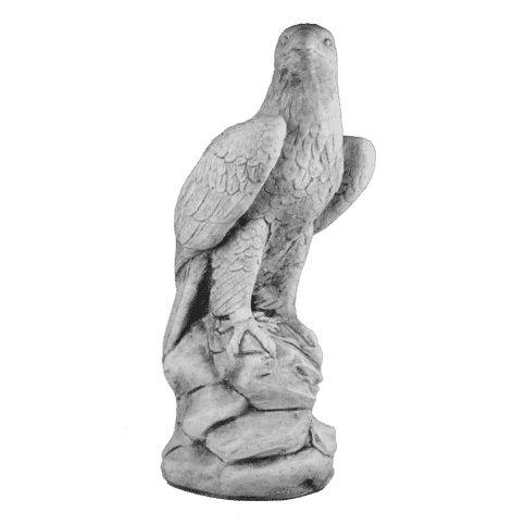 Adelaar groot H59 cm