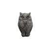 Uil klein