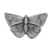 Vlinder