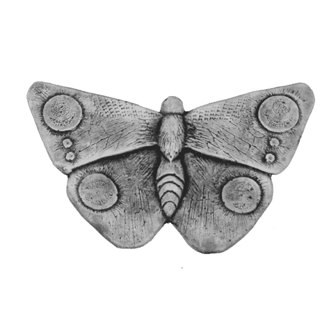 Vlinder