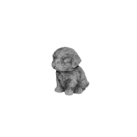Boomer pup H17 cm