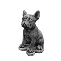 Franse bulldog klein